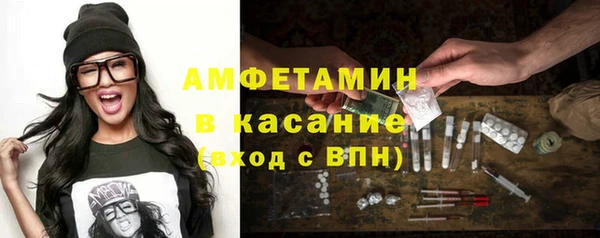шишки Каменногорск