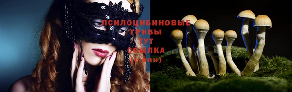 шишки Каменногорск