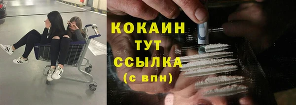 шишки Каменногорск