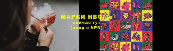 шишки Каменногорск