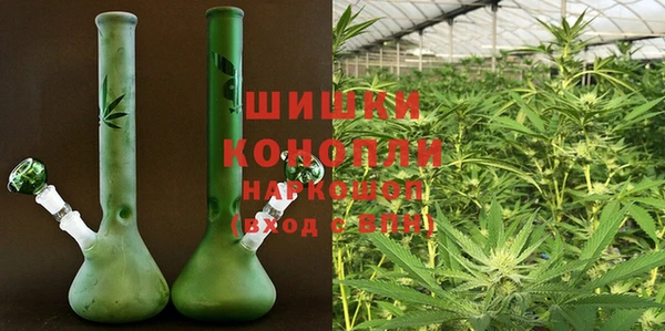 шишки Каменногорск