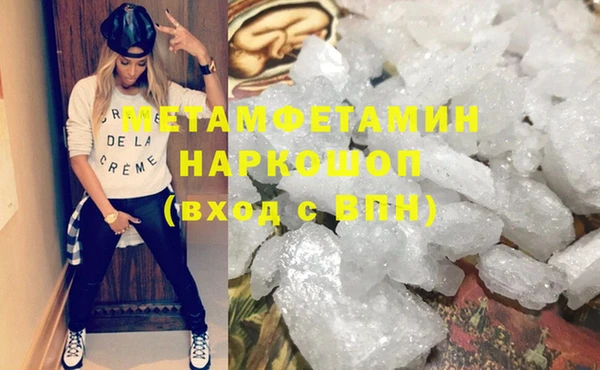 шишки Каменногорск