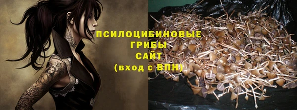 шишки Каменногорск