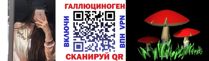 Купить закладки  Калач  Галлюциногенные грибы прущие грибы 